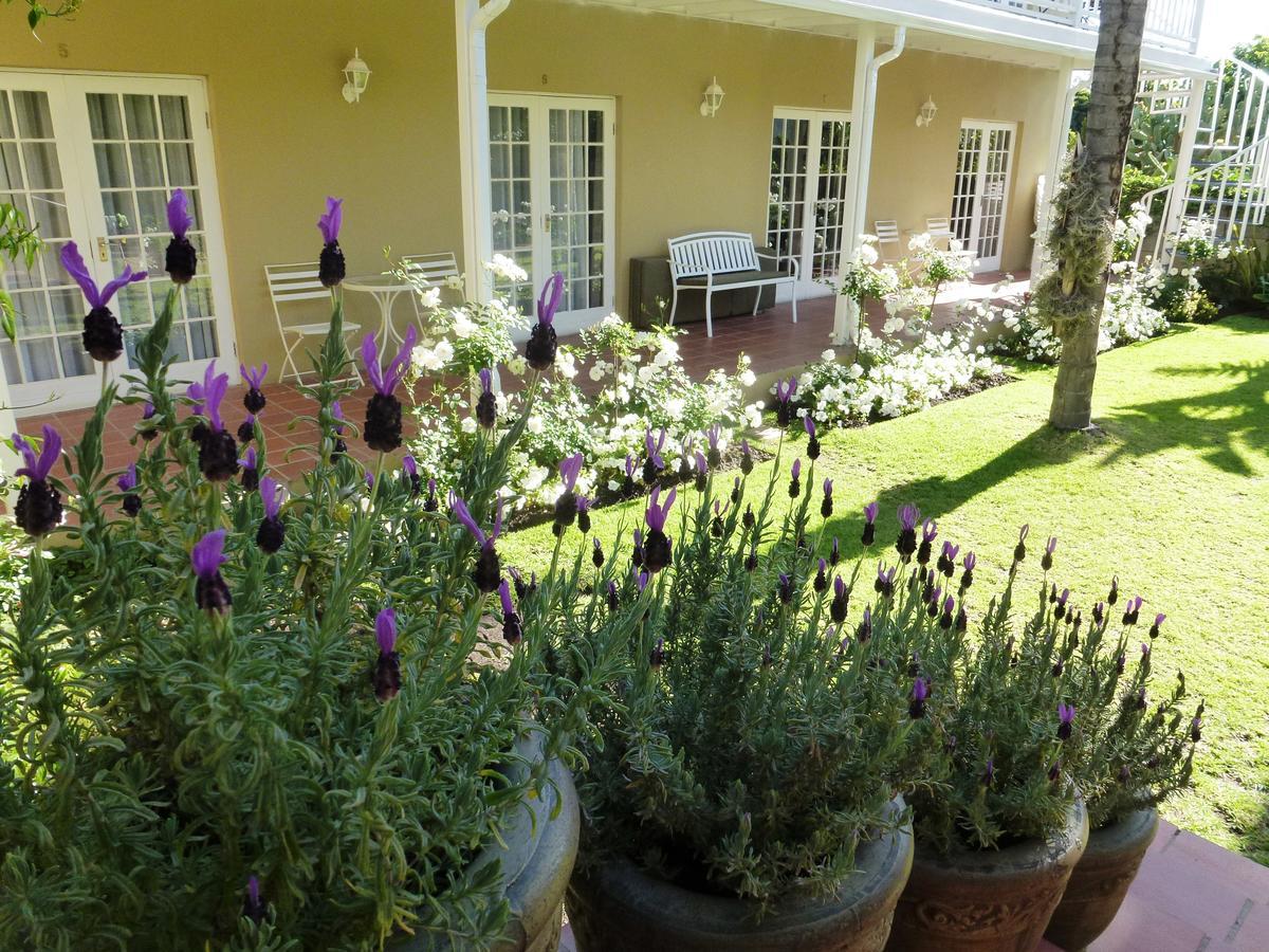 @Yamkela Guest House Oudtshoorn Exterior foto